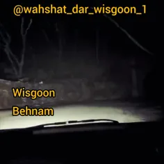 wahshat_dar_wisgoon_1 70499882