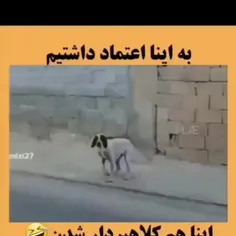 چه تخم سگی بوده این دیگه این ولش کن😂