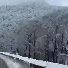 سر پیری ام اگر معرکه گیری باشد