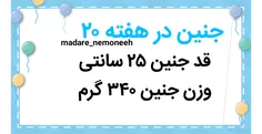 طبیعت madare_nemoneeh 27991640