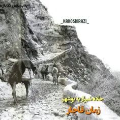 جاده بوشهر ، شیراز