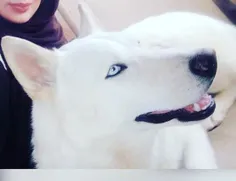 اینم ازعشق من 😍 😍 😍 😍 🐶 🐶 🐶 🐶 🐶