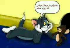 ههههههههه