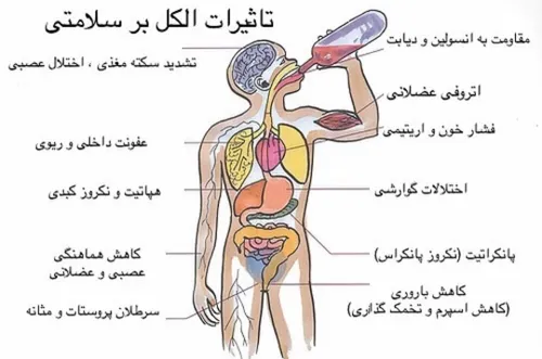 مضرات الکل