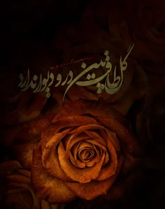 #فاطمیه