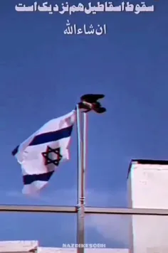 پایین کشیدن پرچم اسرائیل توسط یک کلاغ!