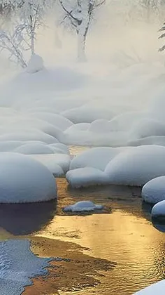 موردداشتیم 