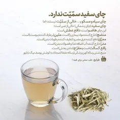 چای سفید سمیت ندارد...! چای سفید یا چای پشمکی خالی از ضرر
