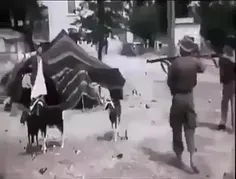ویدئویی از جنایات استعمار فرانسه در الجزایر.چقدر شبیه