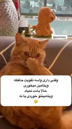 شت حق