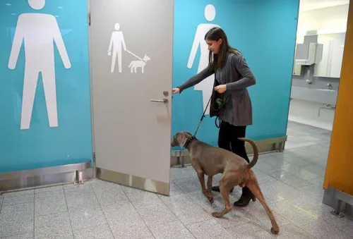 دستشویی مخصوص سگ ها در فرودگاه "هلسینکی" فنلاند/ گاردین
