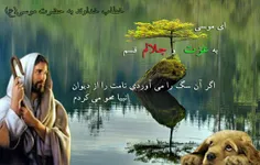 حضرت موسی ع