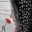 roya6435