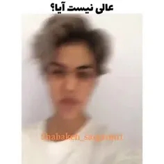 فالو =بک