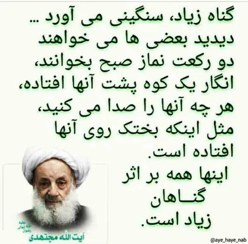 آیت الله مجتهدی