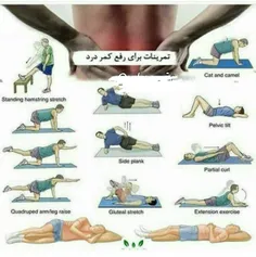 🔺  تمرینات موثر برای رفع کمر درد