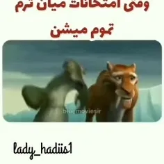 طنز حققق