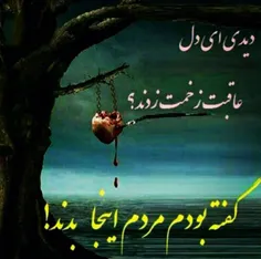 دیدی ای دل عاقبت زخمت زدند? 