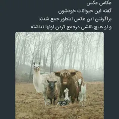 چه قشنگ