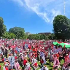 ا✊🇵🇸  تظاهرات در برابر کاخ سفيد برای توقف جنایات علیه غزه