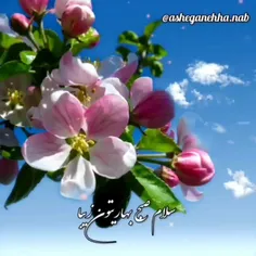 iran1345 50790761