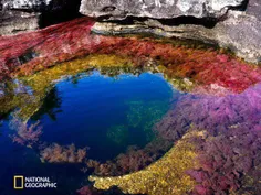 رودخانه پنج رنگ، زیباترین رودخانه جهان :کانوکریستالس، اسم