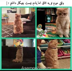 دقیقاااا 😂 😂 😂 😂