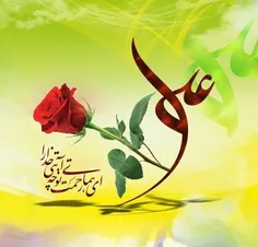 سالروز ولادت حضرت امیرالمومنین علی(ع) 