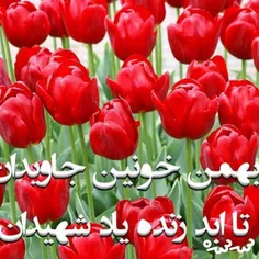 🌷شعر" بهمن خونین جاویدان"....🌷