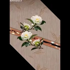 #خدایا_شکرت #خدایاشکرت