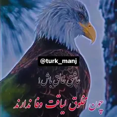 هیچی کس لیاقت وفا نداره 