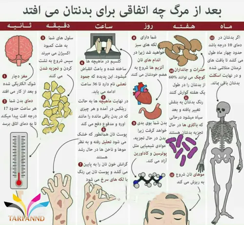 ‏بعد از مرگ چه اتفاقی برای بدن می افتد؟