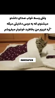 یه وقت مارو بیرون نکنی‌خیابون خواب شیما😂                 
