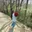 jahan_hamishe_ziba