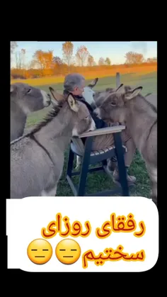  دورازجون بعضی رفقای زندگی آدم عینهو الاغ میمونن
