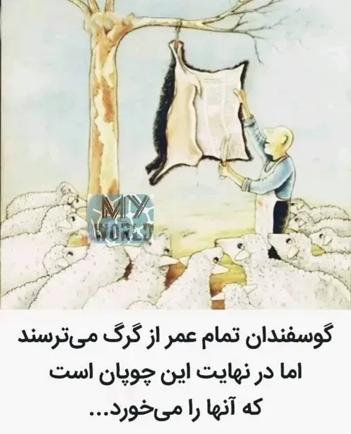 گرگ یکی دوتا