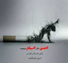 #عشق مثل #سیگار میمونه