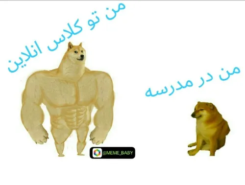 مدرسه خوش میگذره؟😂
فالو کن بک میدم