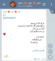 سعید فلاحی (زانا کوردستانی)