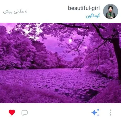 شرکت کننده هشتم