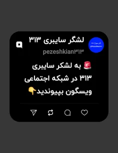 🚨 به لشکر سایبری ۳۱۳ در شبکه اجتماعی ویسگون بپیوندید👇