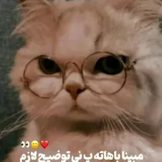 دیگه کیا اسمشون مبیناس😂