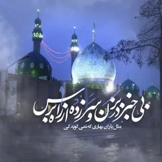 #ThePromisedSaviour #ادرکنی #ImamMahdi #مرا_دریاب #یا_مهد