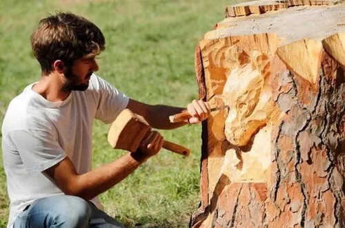 هنرمندی که به درختان جان می بخشد آندریا گاندینی مجسمه ساز