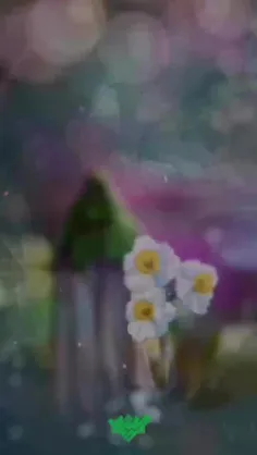 السلام علیک یا حجت الله فی ارضه ع 