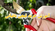 آموزش خرید بهترین قیچی و نگهداری از قیچی های باغبانی