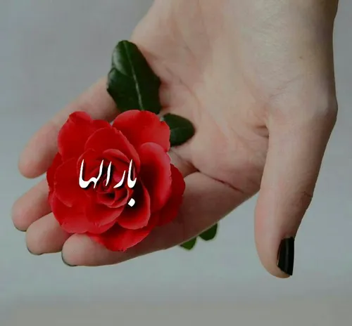 بـارالـهـا❤ ️🌹