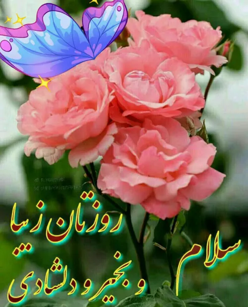 از روی ادب