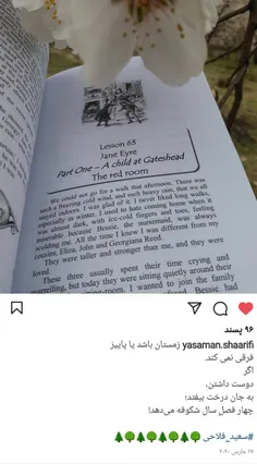 سعید فلاحی (زانا کوردستانی)