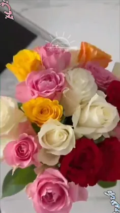 ‌‌‏‌سلام صبحت بخیر و شادکامی 